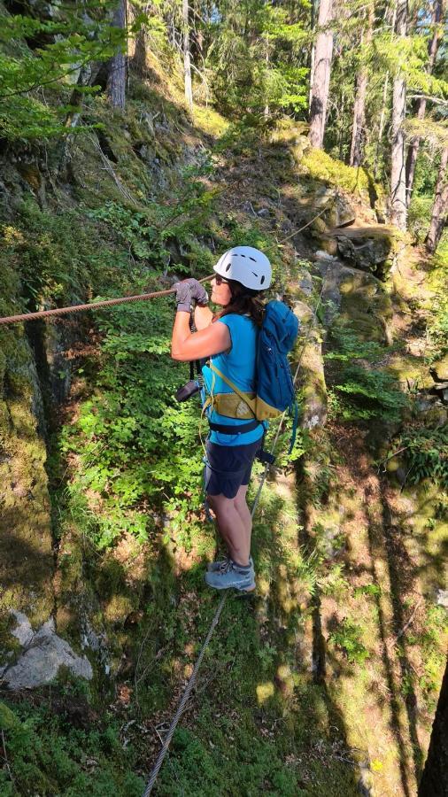 Pension Passler Seeboden Exteriér fotografie